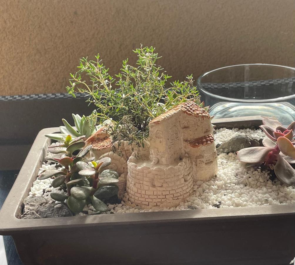Apartamento Le Lotois Les Ondines